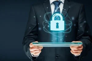 the principles of cyber security, including data preservation and risk prevention